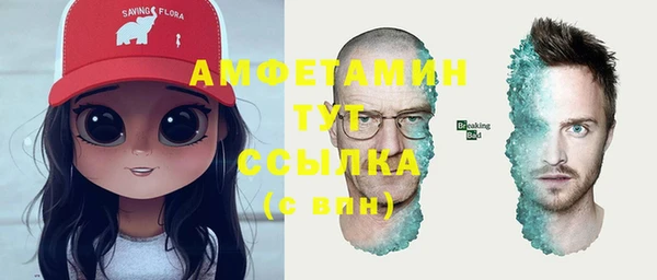 мдпв Верея
