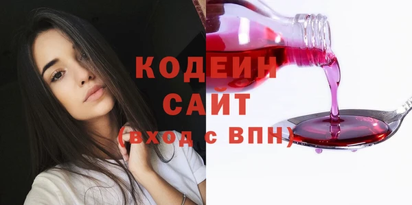 СК Саяногорск