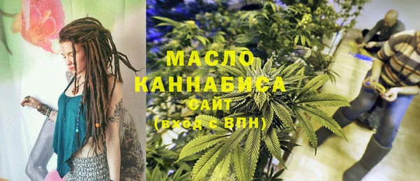 дживик Бородино