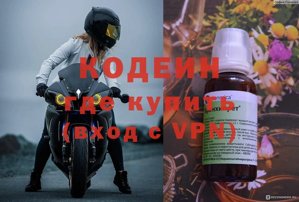 дживик Бородино