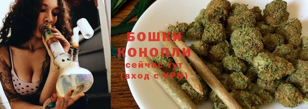 дживик Бородино