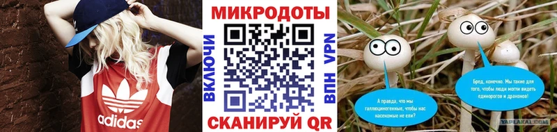 Псилоцибиновые грибы Psilocybine cubensis  Волосово 
