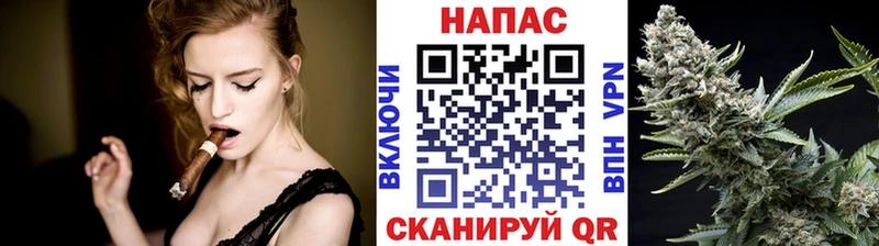 Бошки марихуана ГИДРОПОН  цена наркотик  blacksprut маркетплейс  Волосово 